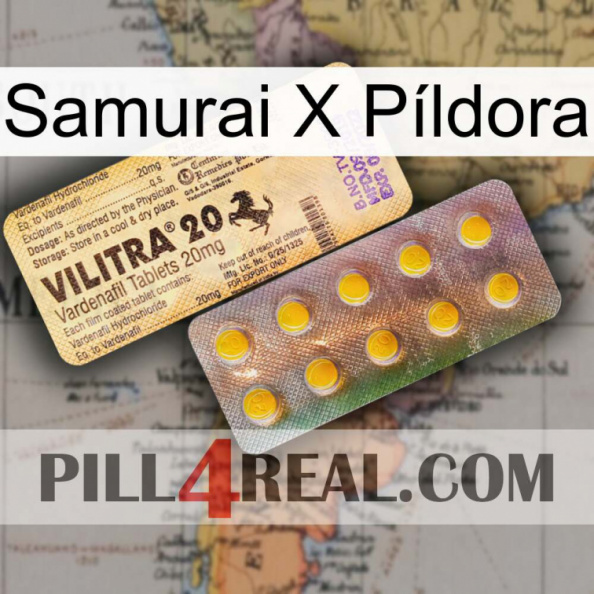 Samurai X Píldora new06.jpg